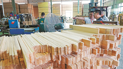 一樹興業(yè)，爭做道地“香杉人”——從南湖紅船看柳州杉木產(chǎn)業(yè)的傳承與創(chuàng)新